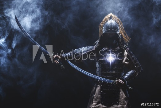 Image de Samurai warrior